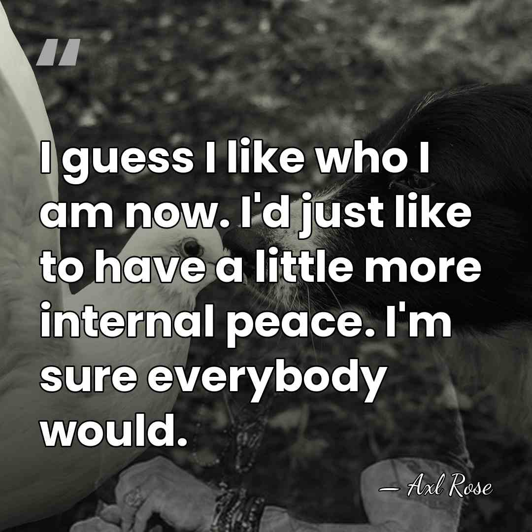 I guess I like who I am now. I'd just like to&hellip; - Axl Rose