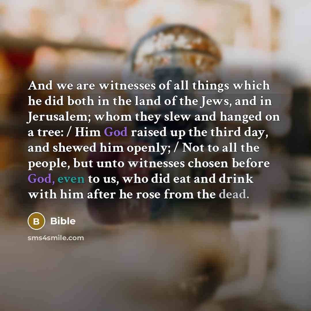 “And we are witnesses of all things which he did…” quote by Bible