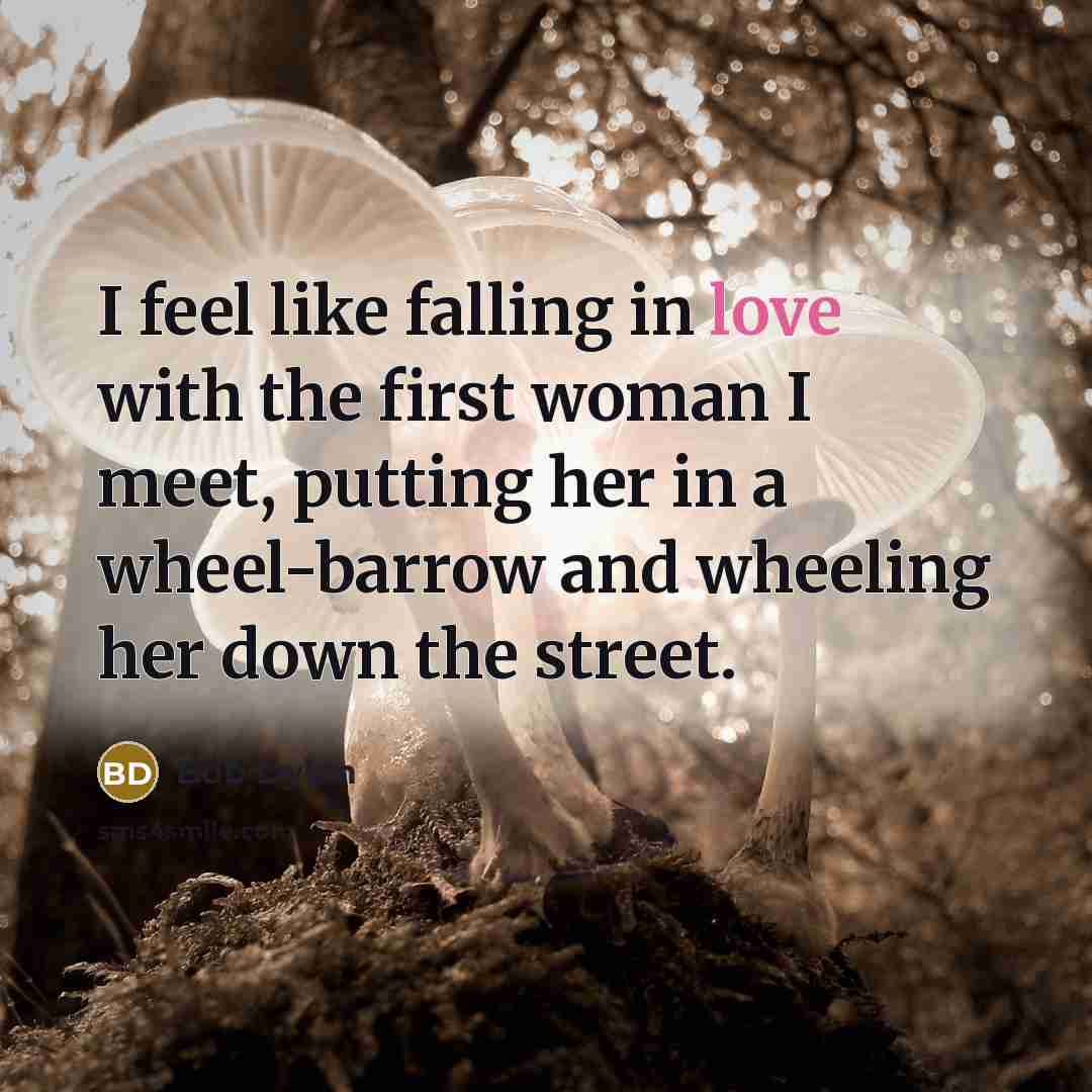 “I feel like falling in love with the first woman…” quote by Bob Dylan