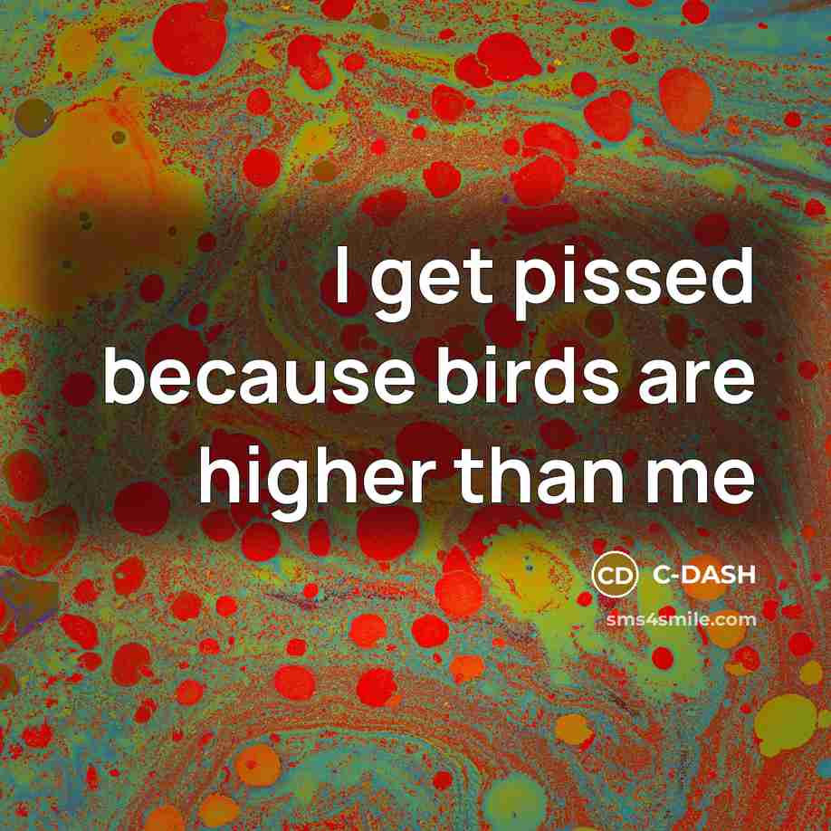 “I get pissed because birds are higher than me…” quote by C-DASH
