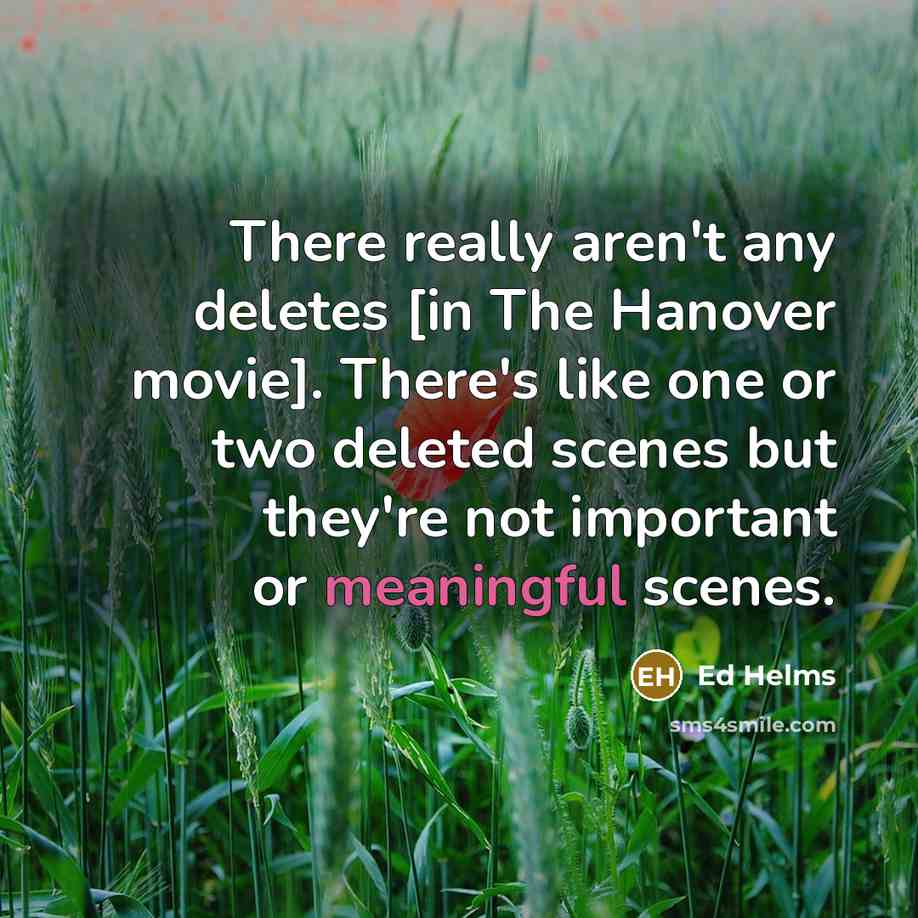 “There really aren't any deletes [in The Hanover movie]. There's…” quote by Ed Helms