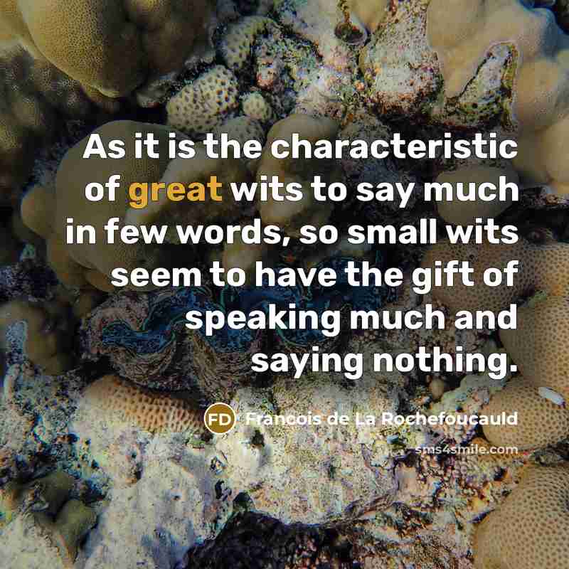 “As it is the characteristic of great wits to say…” quote by Francois de La Rochefoucauld