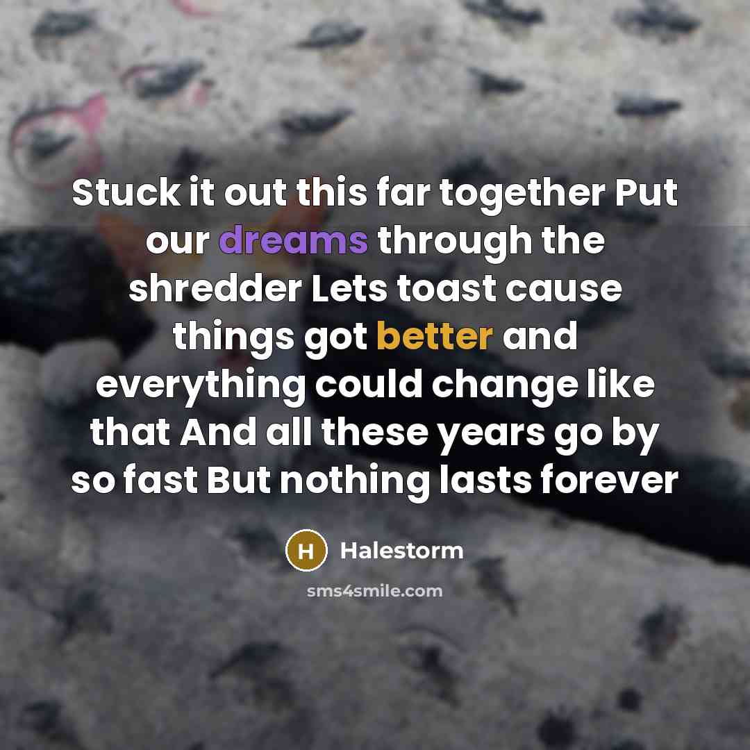 “Stuck it out this far together Put our dreams through the shredder Lets toast cause things got better and everything could change like that And all these years go by so fast But nothing lasts forever” quote by Halestorm