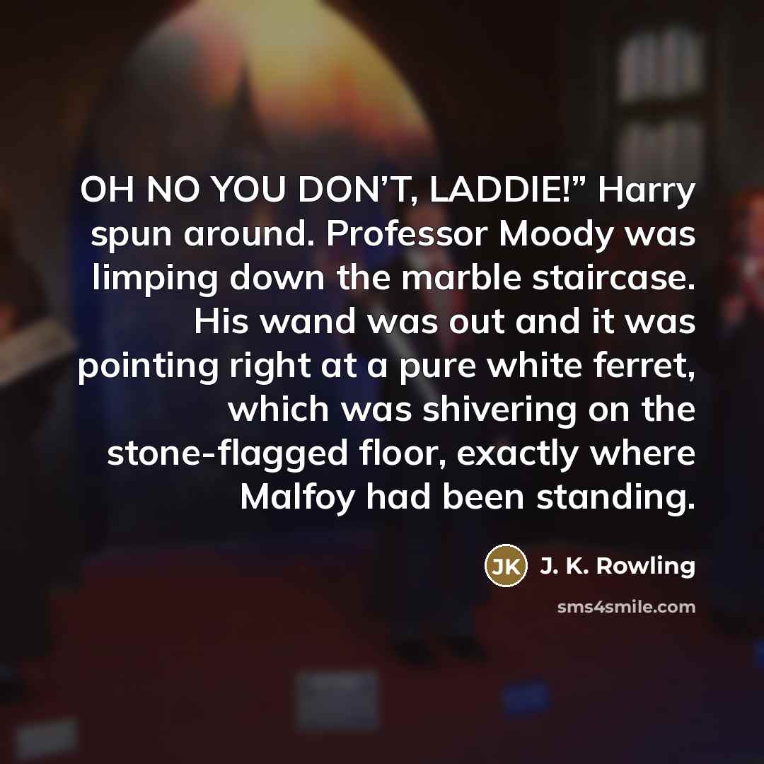 “OH NO YOU DON’T, LADDIE!” Harry spun around. Professor Moody…” quote by J. K. Rowling