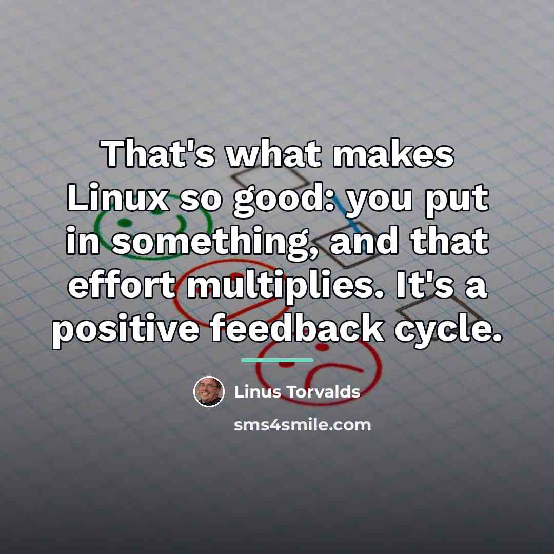 “That's what makes Linux so good: you put in something,…” quote by Linus Torvalds