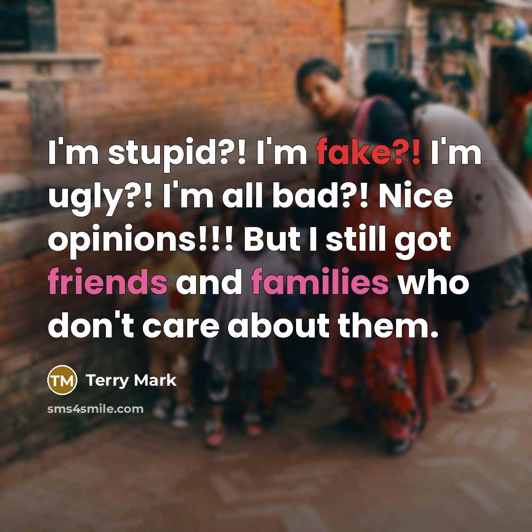 “I'm stupid?! I'm fake?! I'm ugly?! I'm all bad?! Nice…” quote by Terry Mark