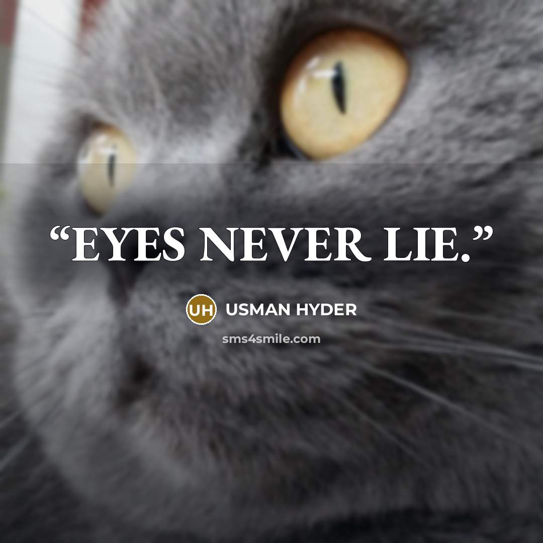 “EYES NEVER LIE.” quote by USMAN HYDER