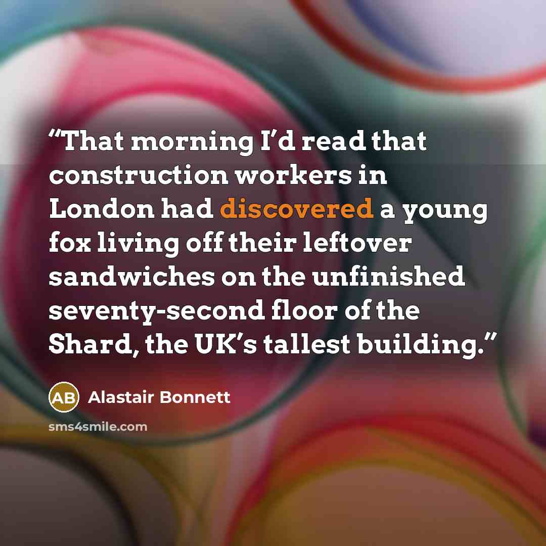 “That morning I’d read that construction workers in London had discovered a young fox living off their leftover sandwiches on the unfinished seventy-second floor of the Shard, the UK’s tallest building.” quote by Alastair Bonnett