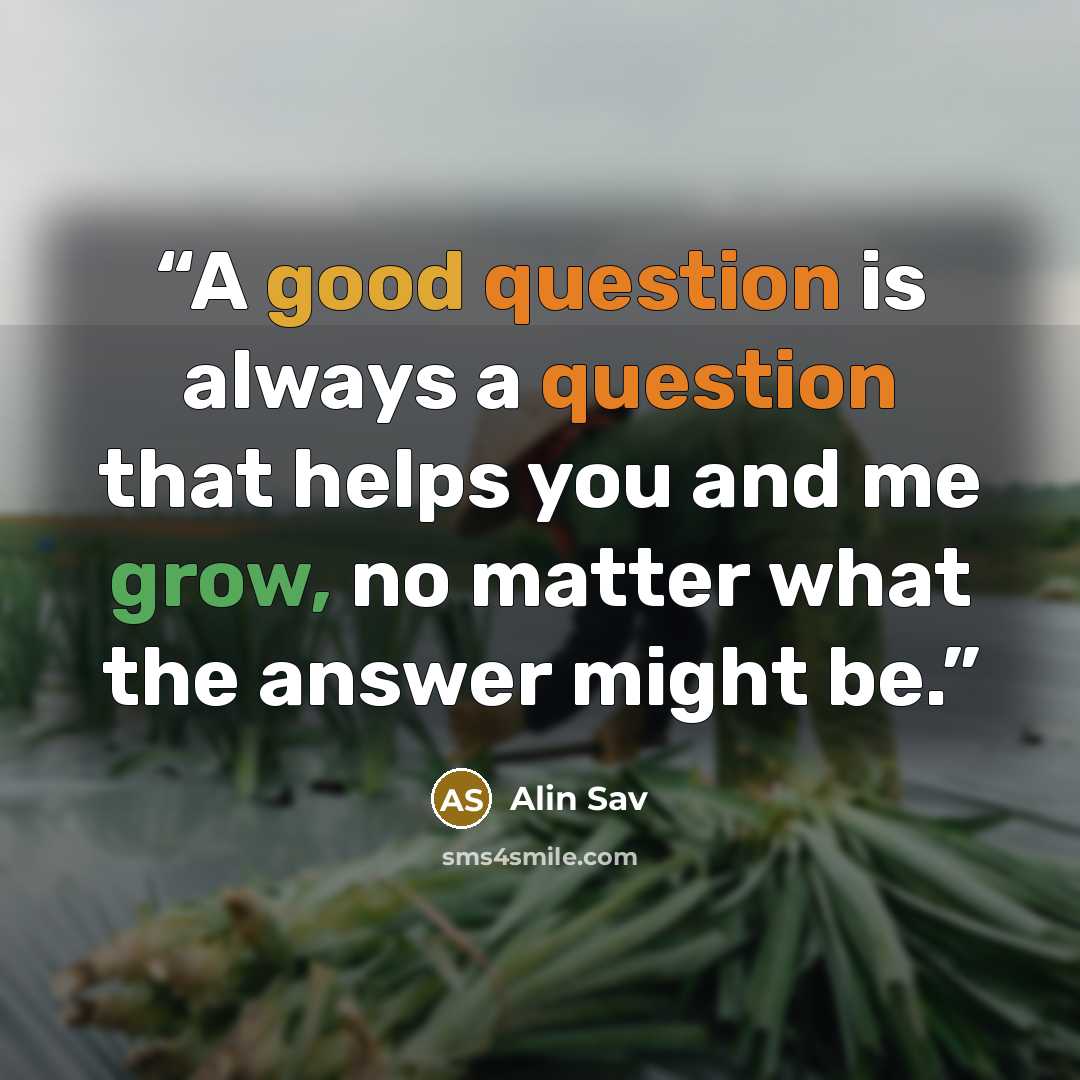 “A good question is always a question that helps you and me grow, no matter what the answer might be.” quote by Alin Sav
