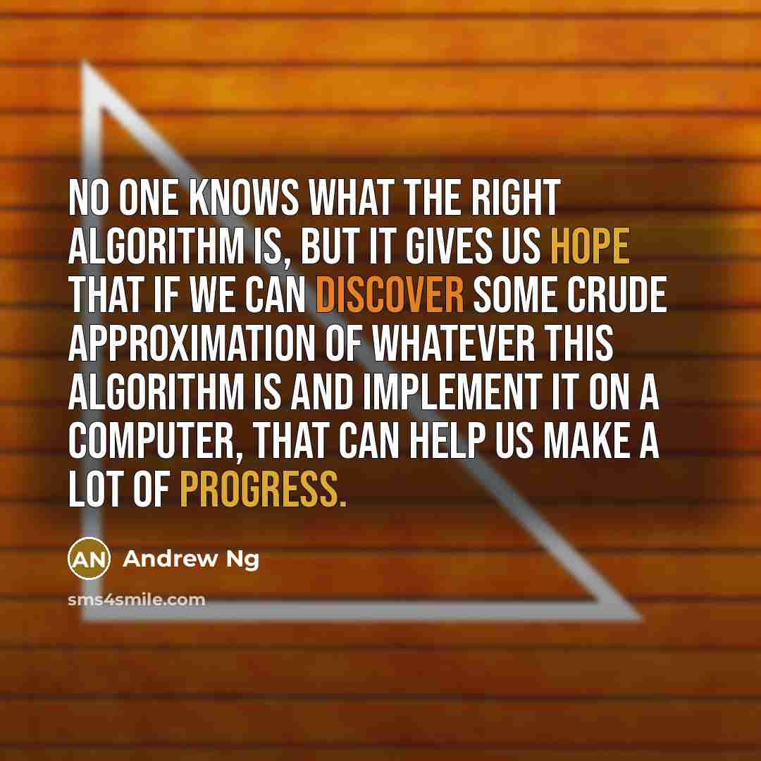 “No one knows what the right algorithm is, but it gives us hope that if we can discover some crude approximation of whatever this algorithm is and implement it on a computer, that can help us make a lot of progress.” quote by Andrew Ng