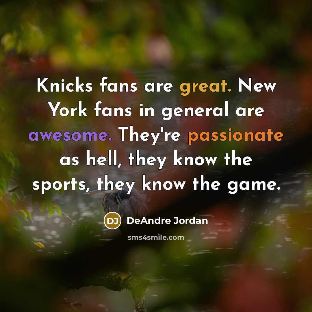 “Knicks fans are great. New York fans in general are…” quote by DeAndre Jordan