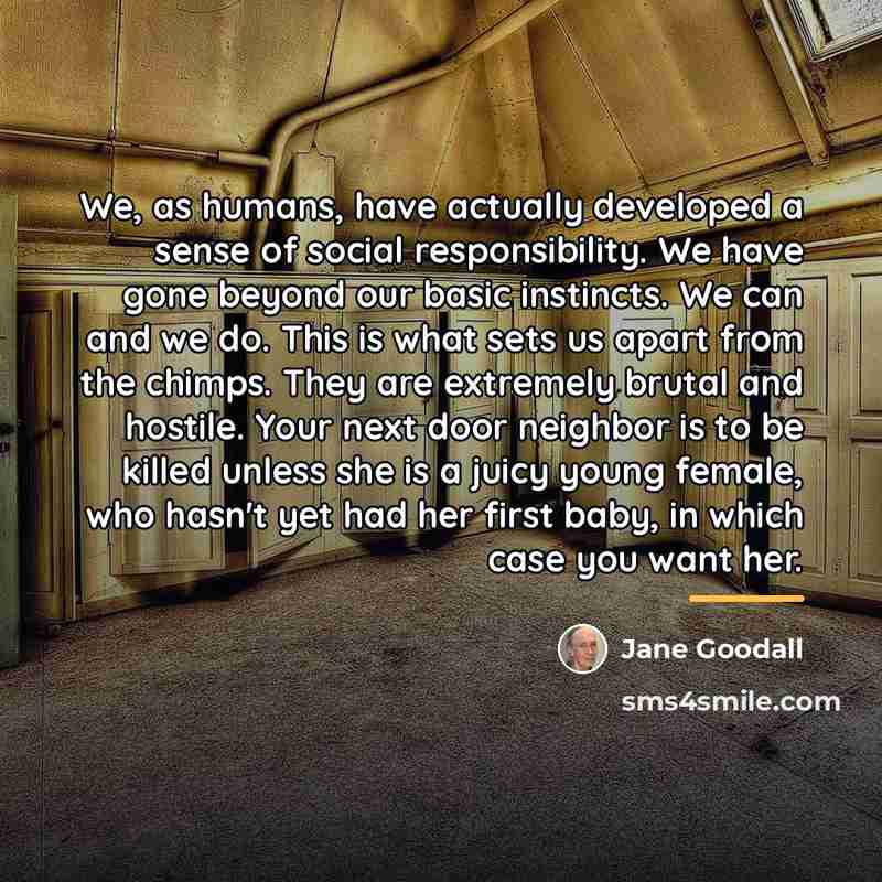 “We, as humans, have actually developed a sense of social…” quote by Jane Goodall