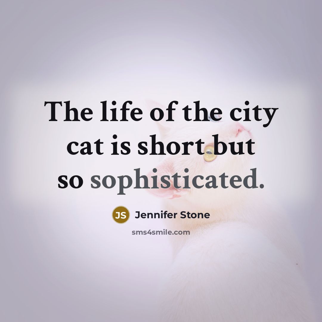 “The life of the city cat is short but so…” quote by Jennifer Stone