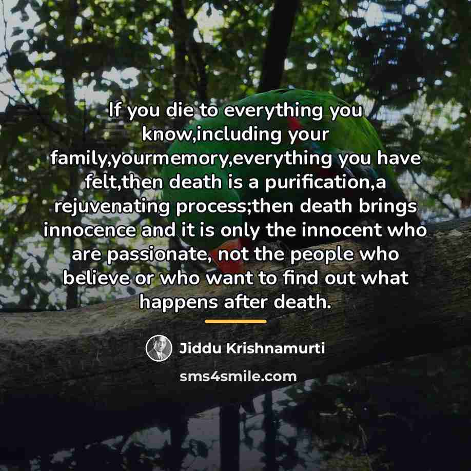 “If you die to everything you know,including your family,yourmemory,everything you…” quote by Jiddu Krishnamurti