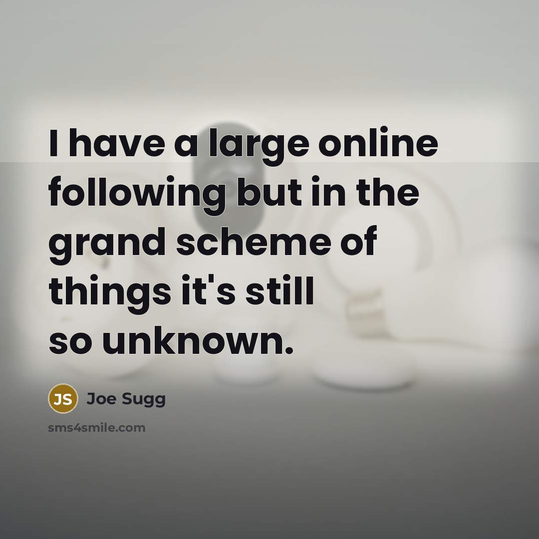 “I have a large online following but in the grand…” quote by Joe Sugg