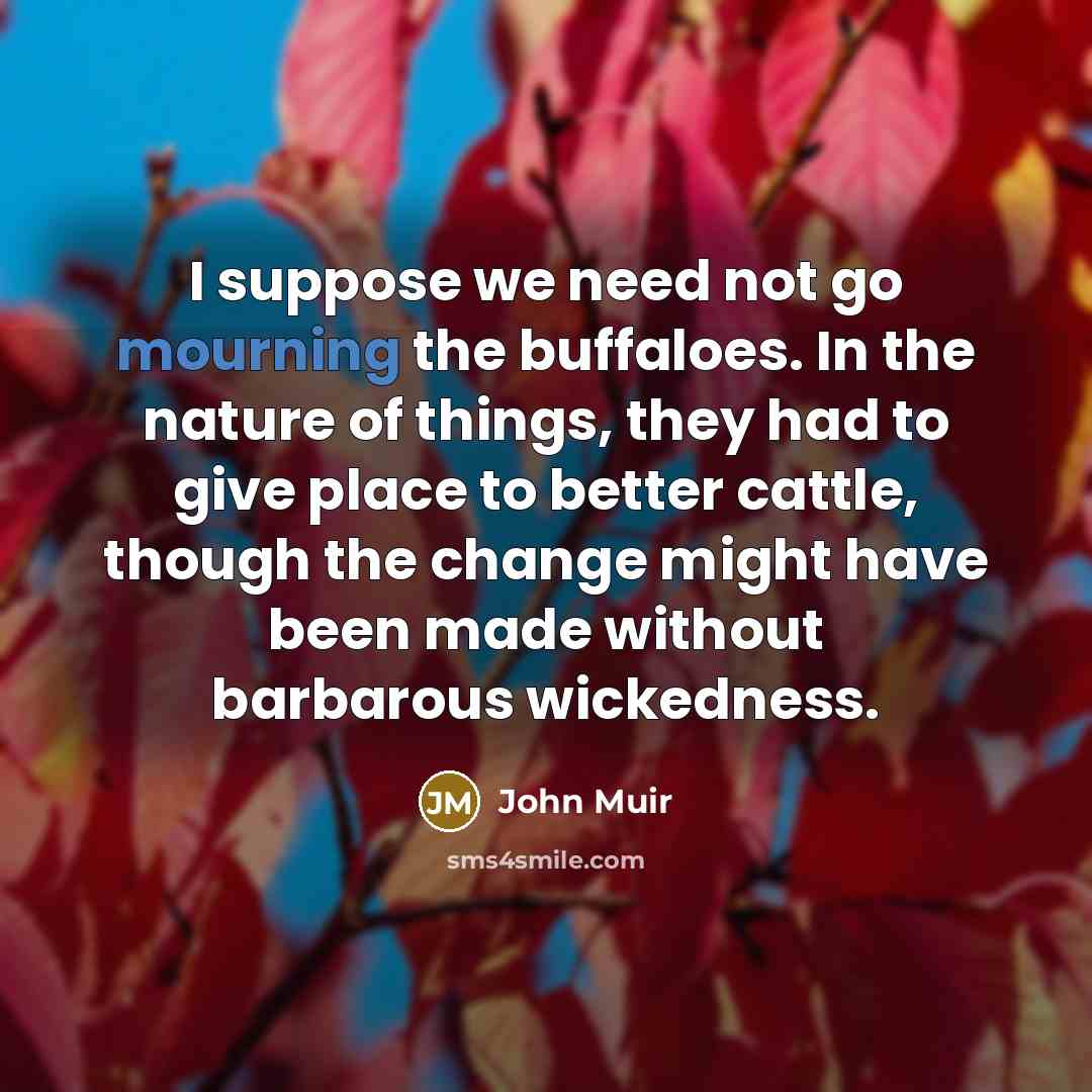“I suppose we need not go mourning the buffaloes. In…” quote by John Muir