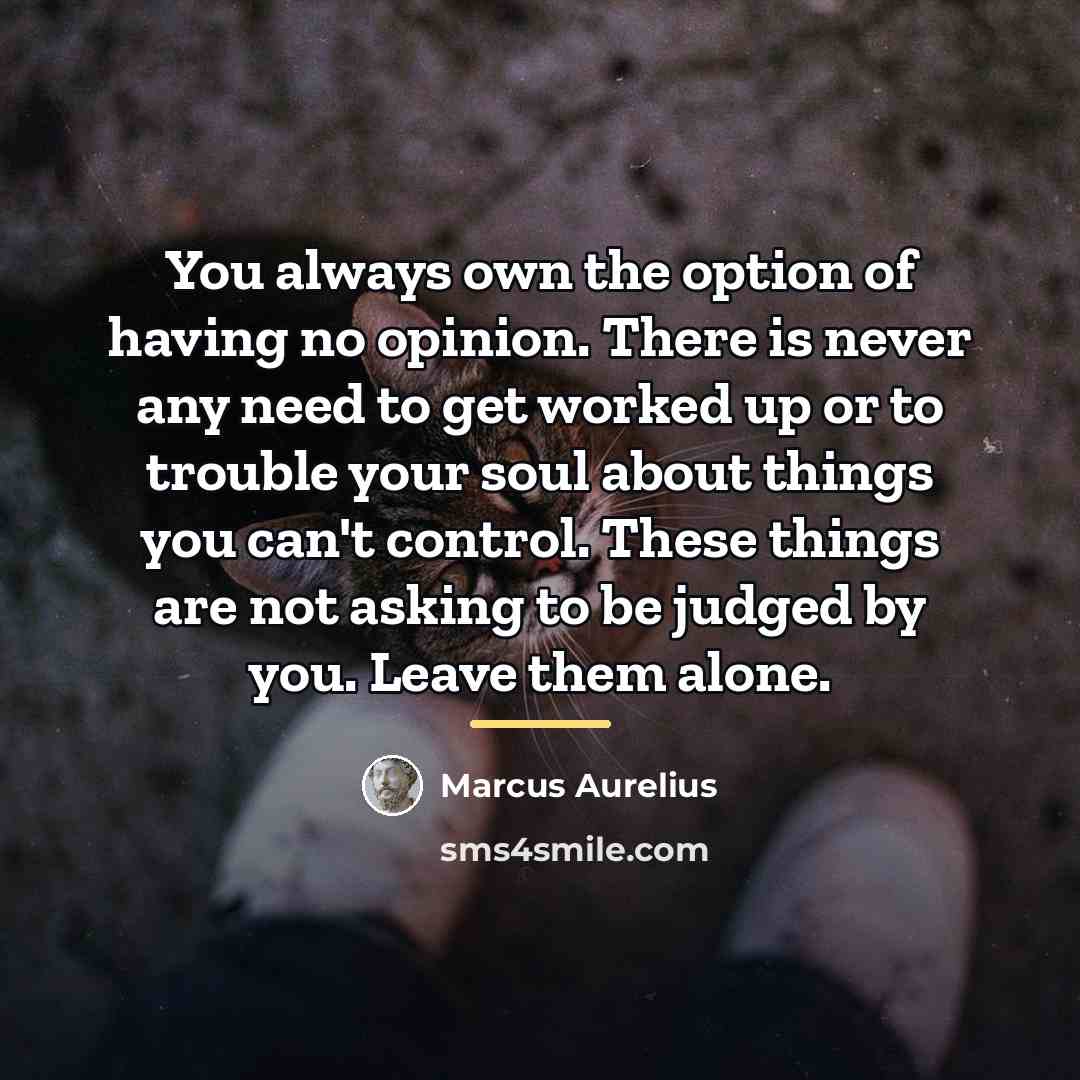 “You always own the option of having no opinion. There…” quote by Marcus Aurelius