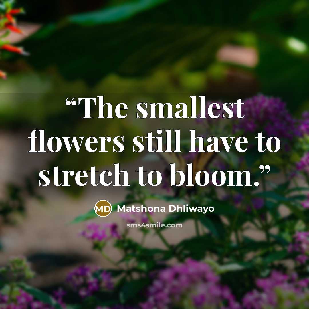 “The smallest flowers still have to stretch to bloom.” quote by Matshona Dhliwayo