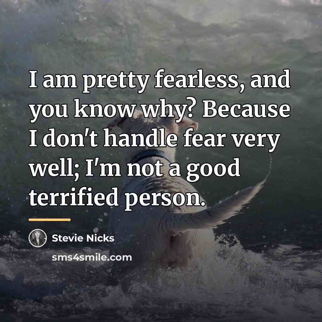 “I am pretty fearless, and you know why? Because I…” quote by Stevie Nicks