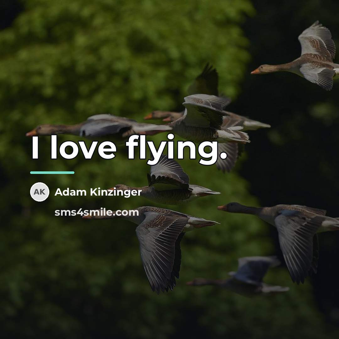 “I love flying.…” quote by Adam Kinzinger