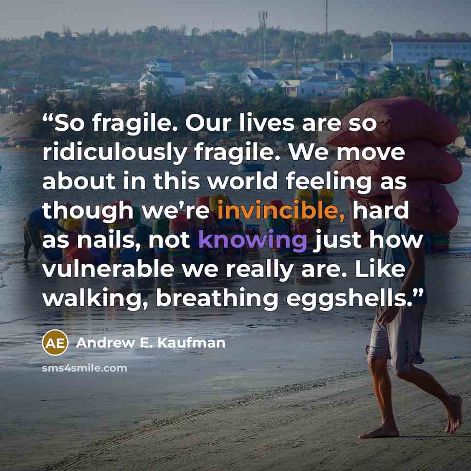 “So fragile. Our lives are so ridiculously fragile. We move about in this world feeling as though we’re invincible, hard as nails, not knowing just how vulnerable we really are. Like walking, breathing eggshells.” quote by Andrew E. Kaufman