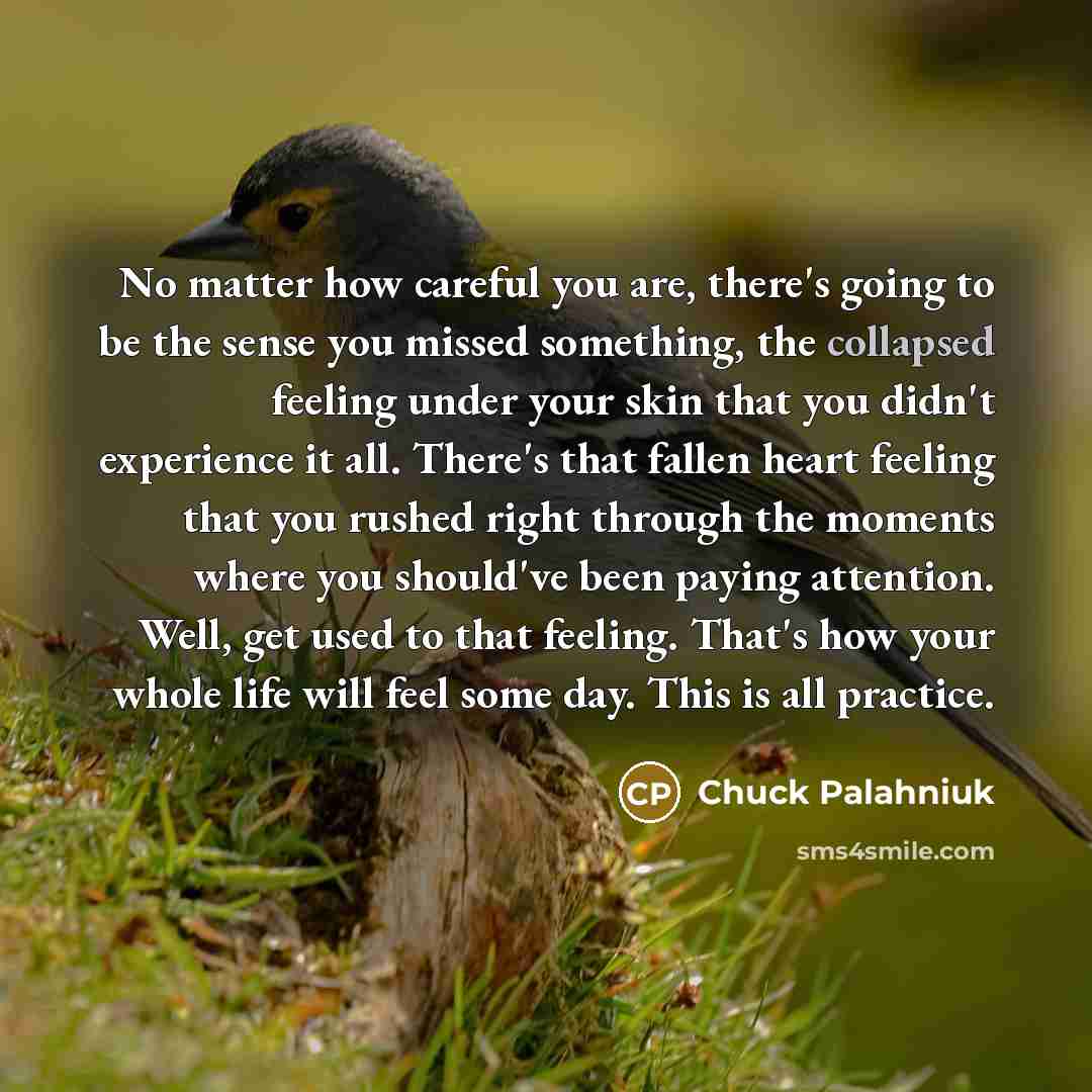 “No matter how careful you are, there's going to be…” quote by Chuck Palahniuk