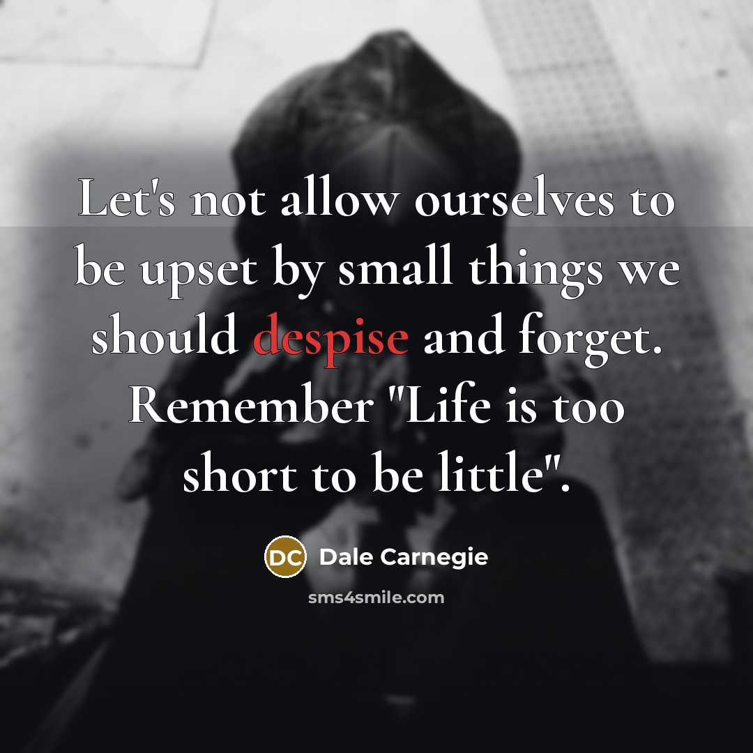 “Let's not allow ourselves to be upset by small things…” quote by Dale Carnegie