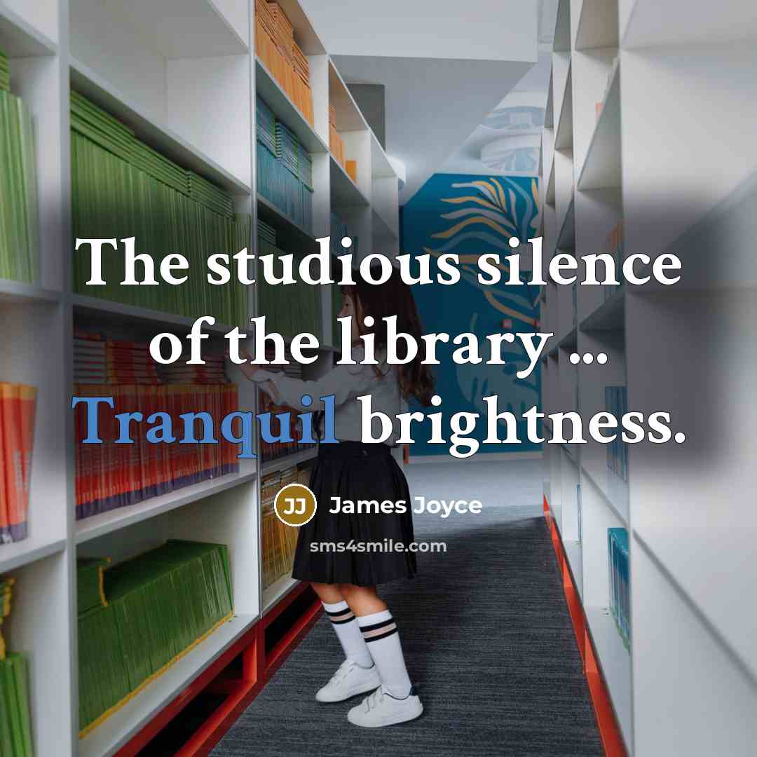 “The studious silence of the library ... Tranquil brightness.…” quote by James Joyce