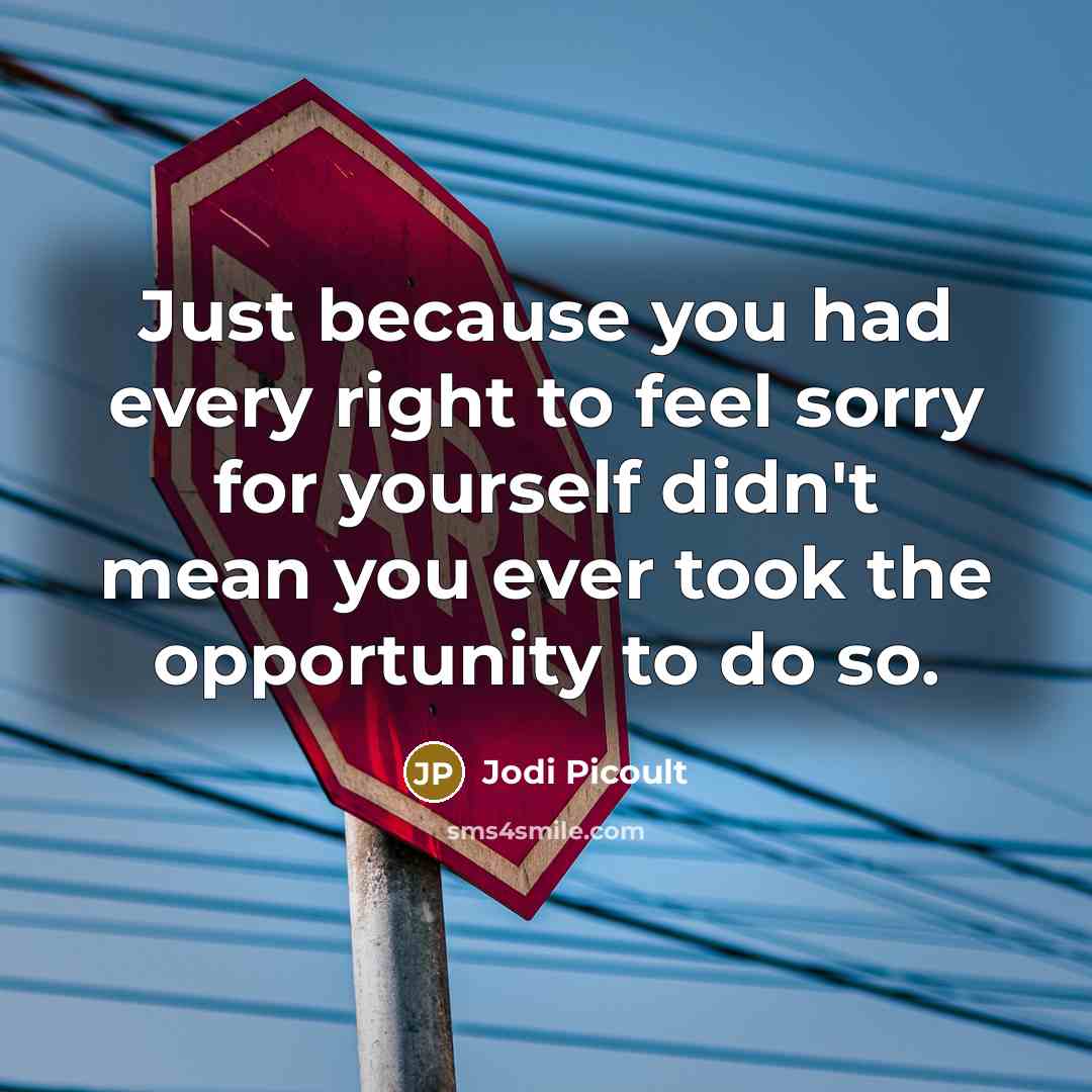 “Just because you had every right to feel sorry for yourself didn't mean you ever took the opportunity to do so.” quote by Jodi Picoult