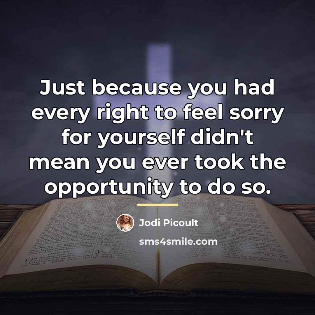 “Just because you had every right to feel sorry for…” quote by Jodi Picoult