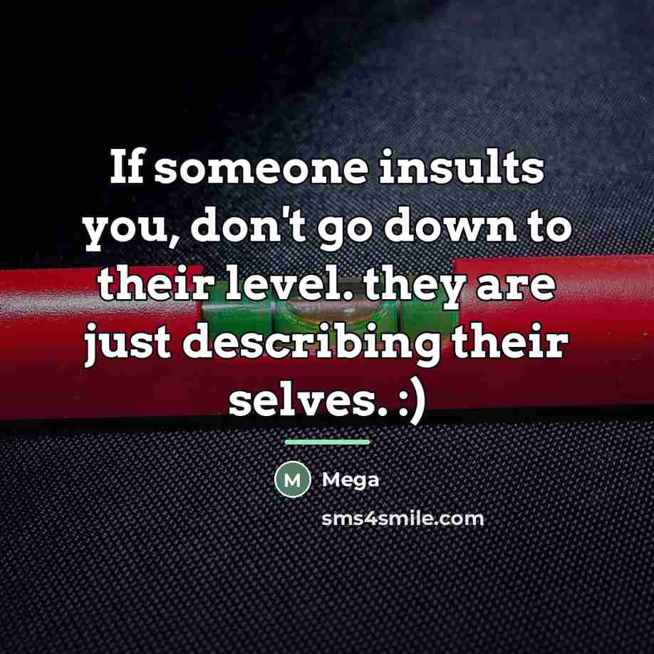 “If someone insults you, don't go down to their level.…” quote by Mega