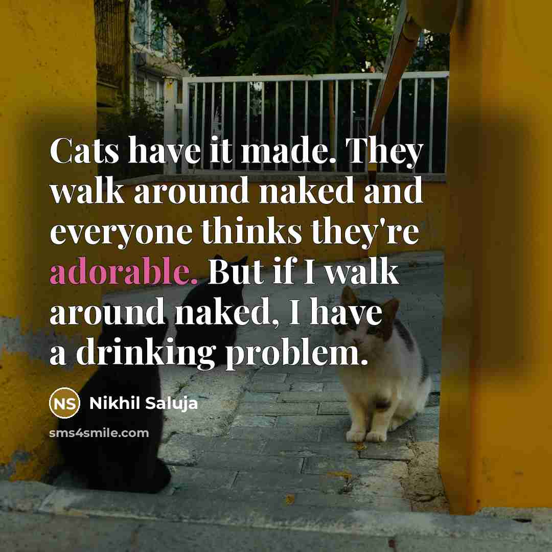 “Cats have it made. They walk around naked and everyone…” quote by Nikhil Saluja