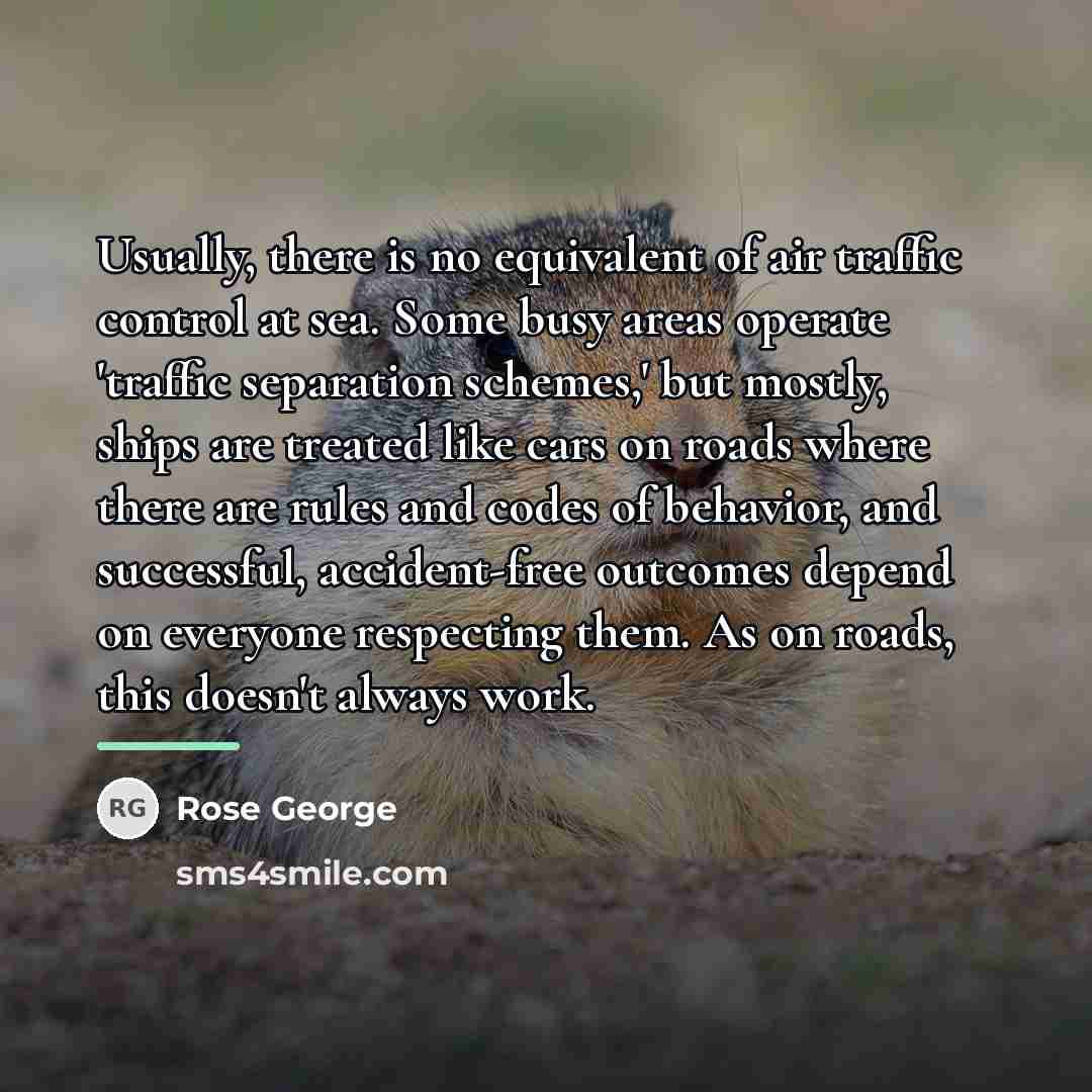 “Usually, there is no equivalent of air traffic control at…” quote by Rose George
