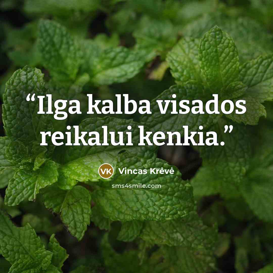 “Ilga kalba visados reikalui kenkia.” quote by Vincas Krėvė