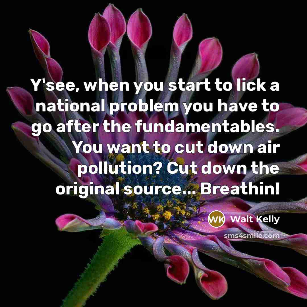 “Y'see, when you start to lick a national problem you…” quote by Walt Kelly
