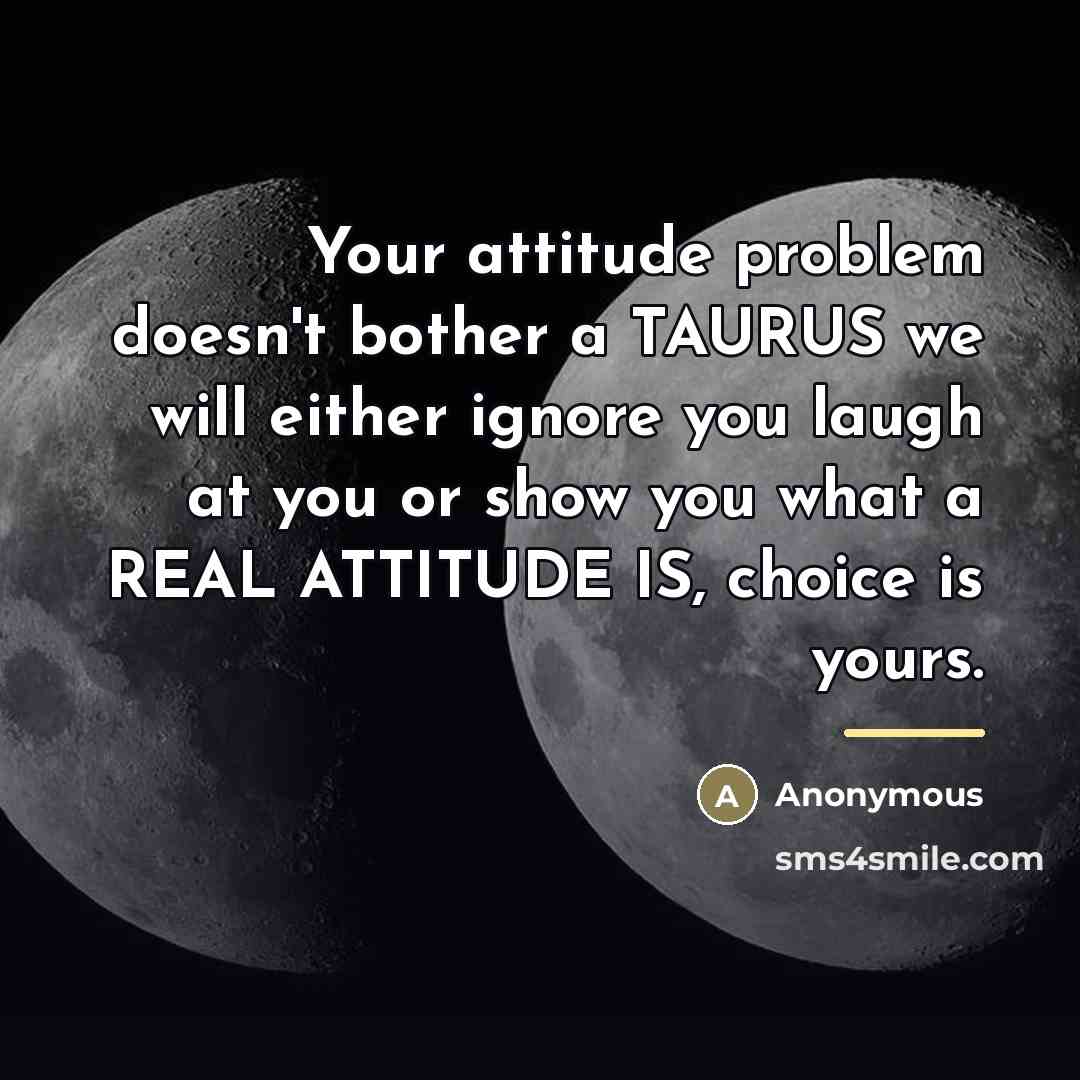 “Your attitude problem doesn't bother a TAURUS we will either…” quote by Anonymous