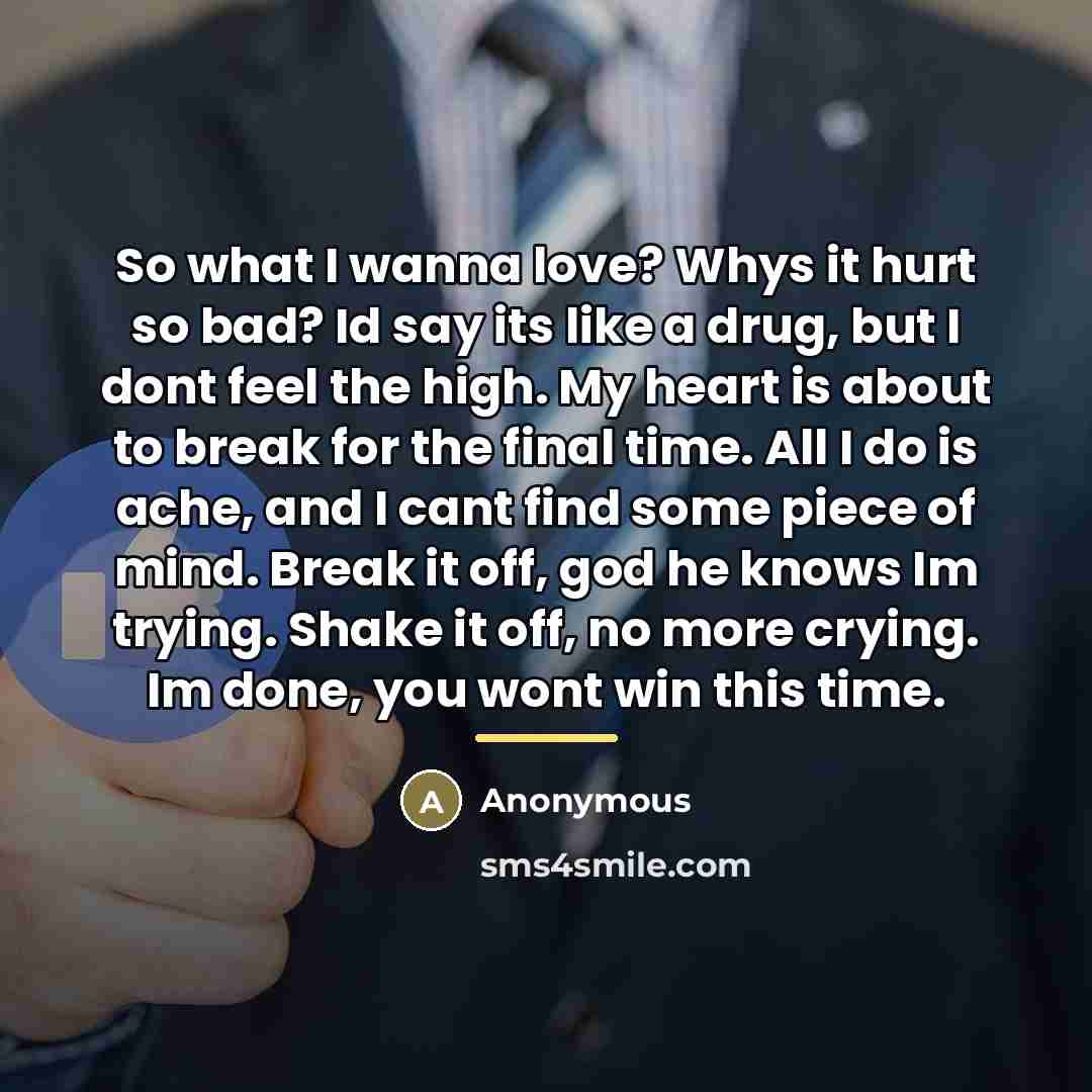 “So what I wanna love? Whys it hurt so bad?…” quote by Anonymous