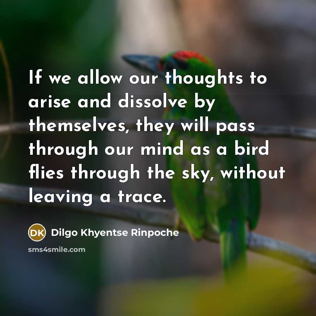“If we allow our thoughts to arise and dissolve by…” quote by Dilgo Khyentse Rinpoche