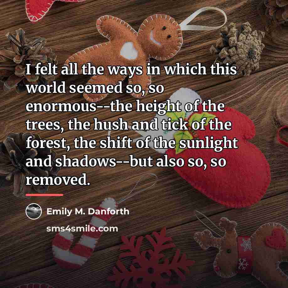 “I felt all the ways in which this world seemed…” quote by Emily M. Danforth