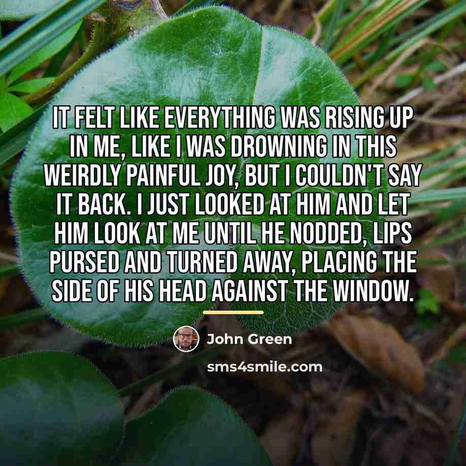 “It felt like everything was rising up in me, like…” quote by John Green