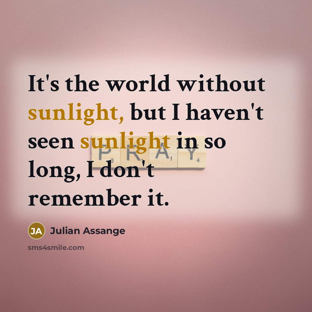 “It's the world without sunlight, but I haven't seen sunlight…” quote by Julian Assange