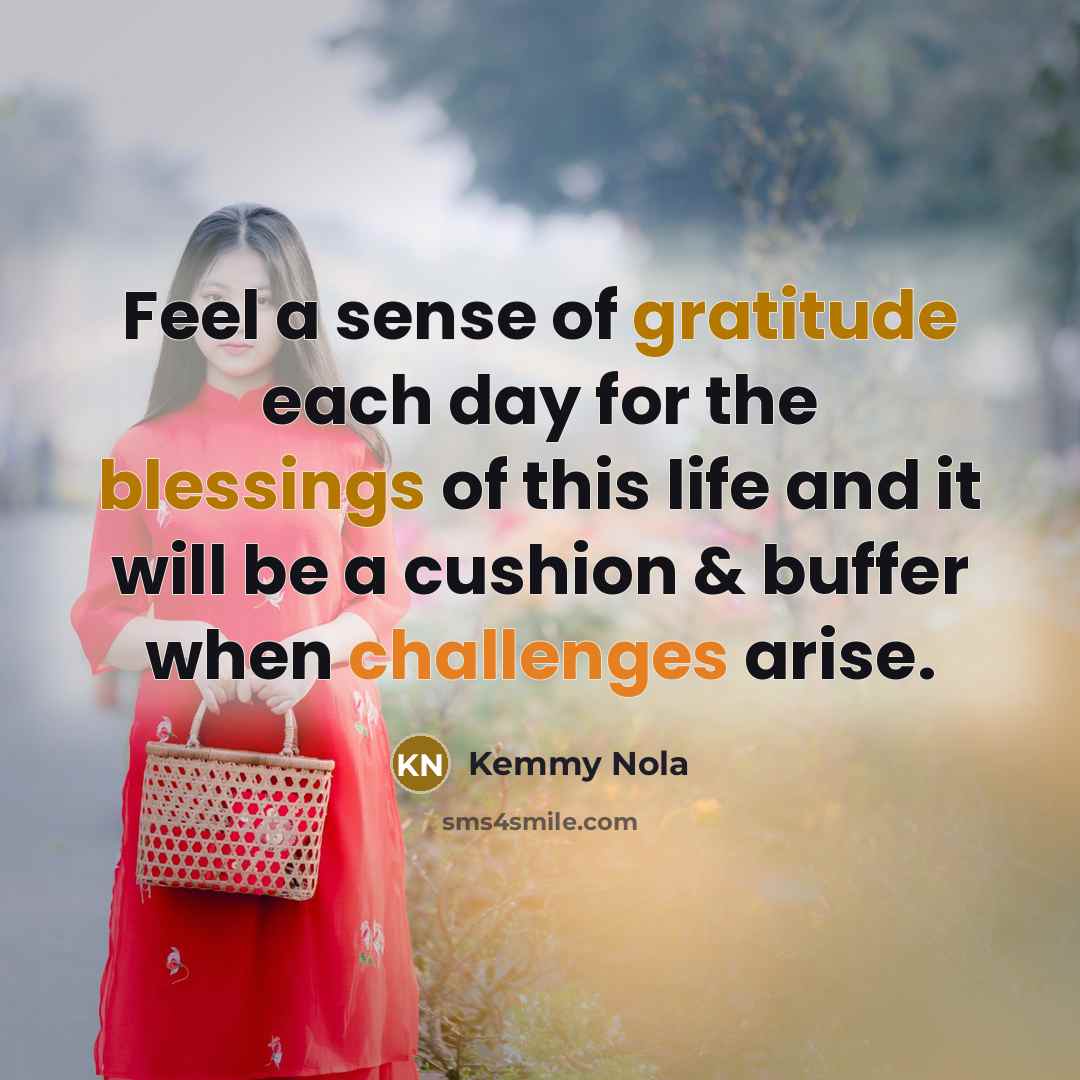 “Feel a sense of gratitude each day for the blessings…” quote by Kemmy Nola