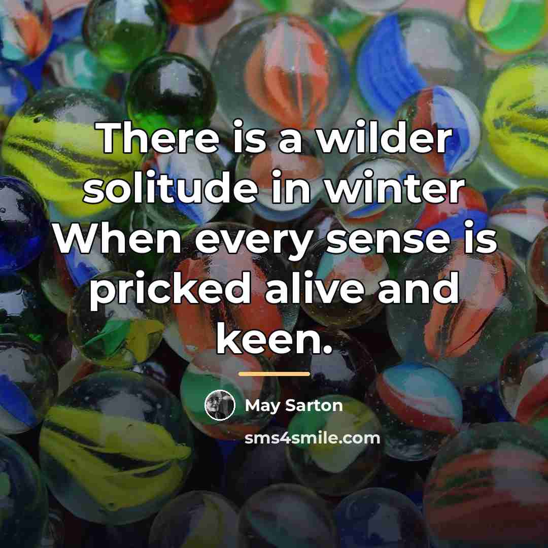 “There is a wilder solitude in winter When every sense…” quote by May Sarton