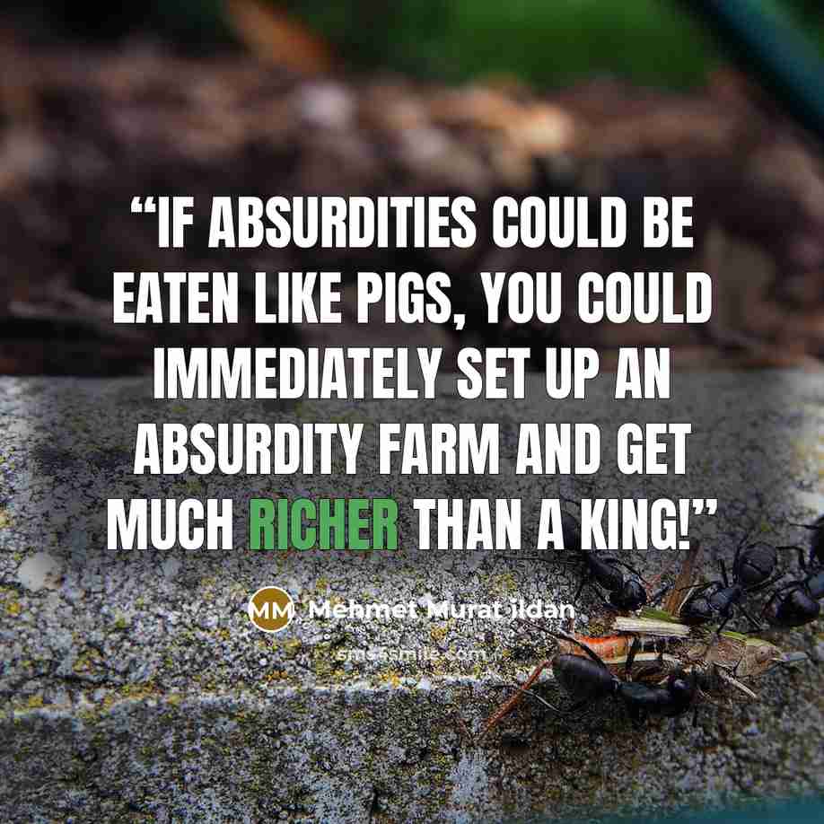 “If absurdities could be eaten like pigs, you could immediately set up an absurdity farm and get much richer than a king!” quote by Mehmet Murat ildan