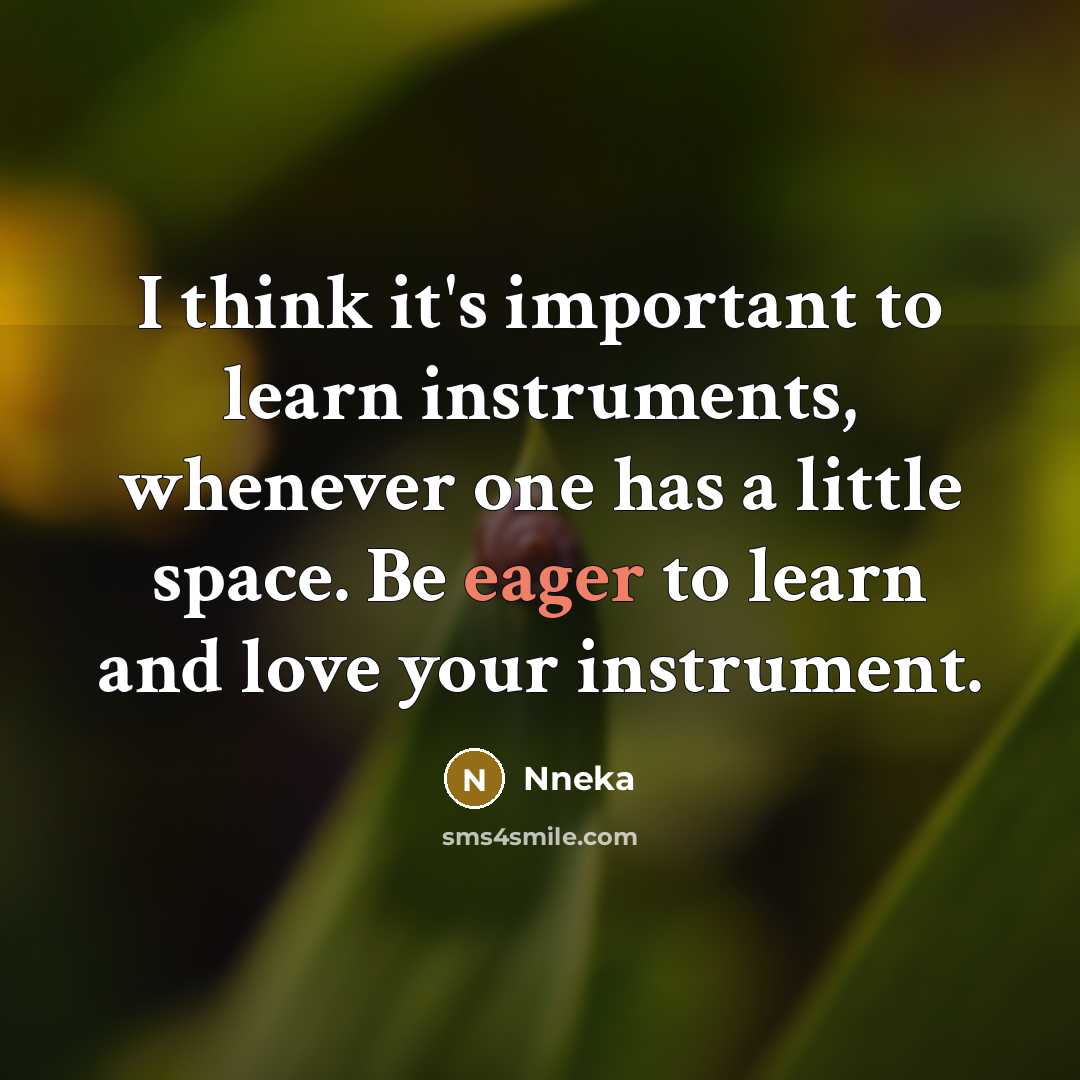“I think it's important to learn instruments, whenever one has…” quote by Nneka