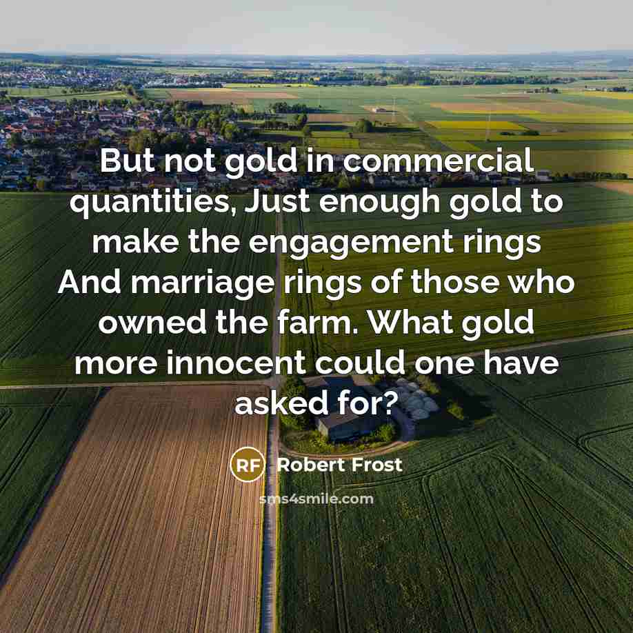 “But not gold in commercial quantities, Just enough gold to…” quote by Robert Frost