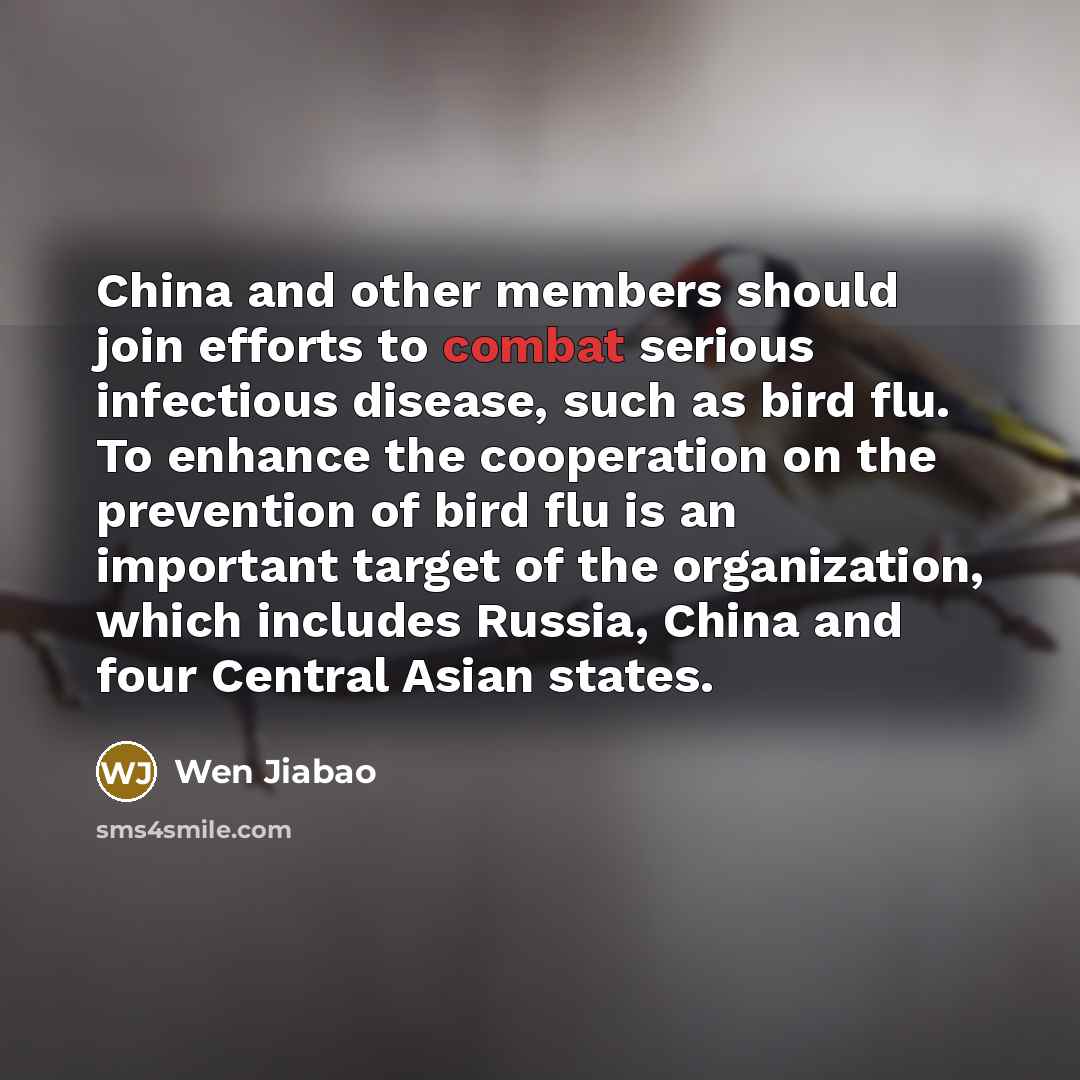 “China and other members should join efforts to combat serious…” quote by Wen Jiabao
