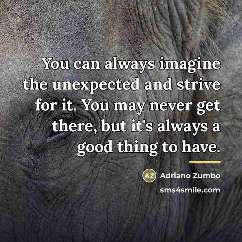 “You can always imagine the unexpected and strive for it.…” quote by Adriano Zumbo