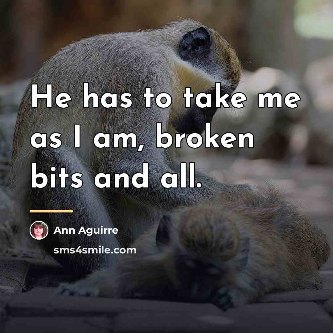 “He has to take me as I am, broken bits…” quote by Ann Aguirre