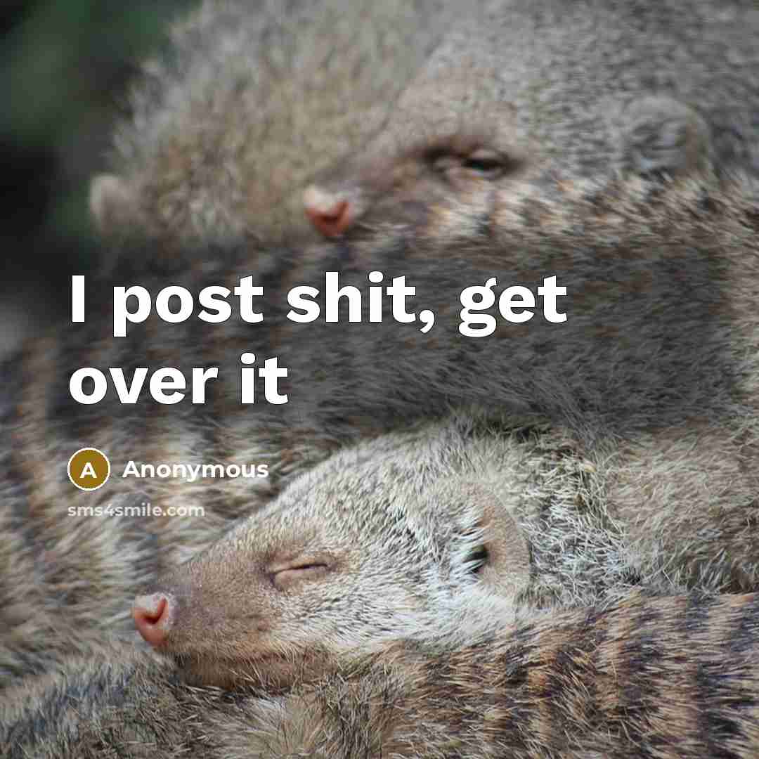 “I post shit, get over it” quote by Anonymous